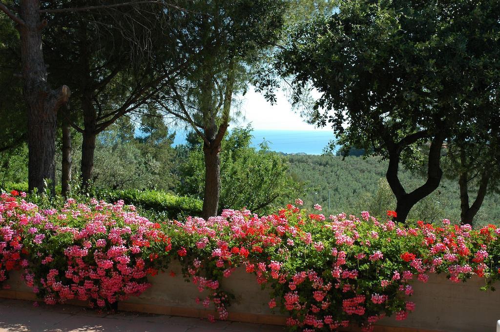 Colle Moro - B&B Villa Maria Citta Sant'Angelo Bagian luar foto