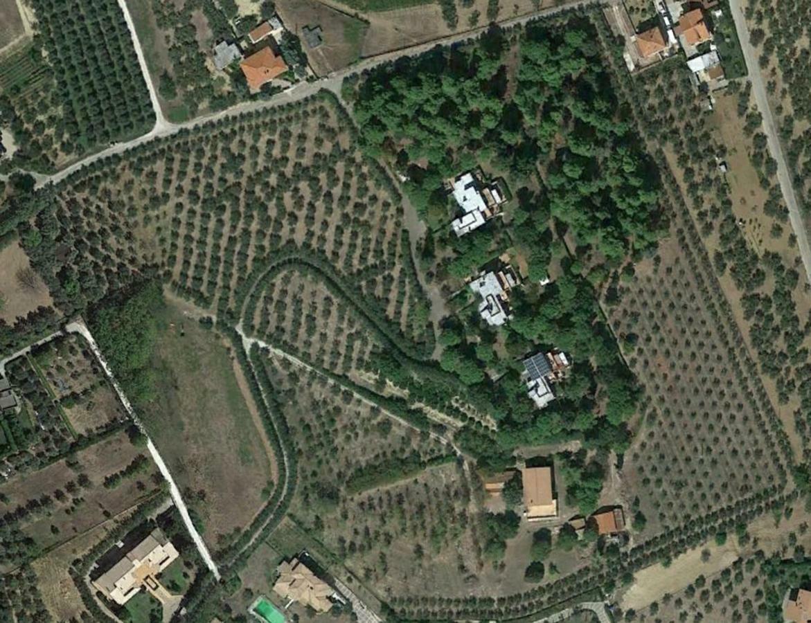 Colle Moro - B&B Villa Maria Citta Sant'Angelo Bagian luar foto